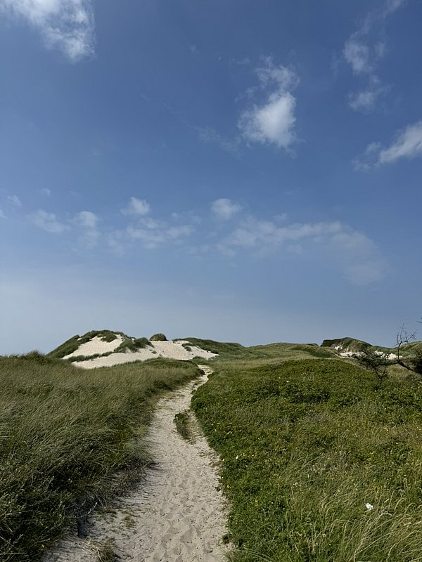 Ein sandiger Weg durch die Dühnen.